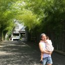 엔티크 독 이미지