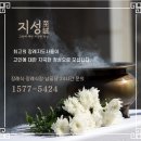 지성병원 이미지