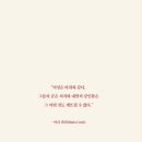 뷰티탐미 이미지