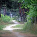 화진포 자전거대여소 이미지