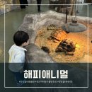 해피애니멀 이미지