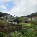 에덴작은도서관 | (호텔) 이천 에덴 파라다이스 슈페리어 더블 가든 - 정원이 이쁜 호텔