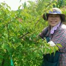 성림농원 이미지