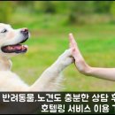 스타인호텔 이미지