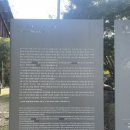 영주 흑석사 목조아미타여래좌상 및 복장유물 | 흑석사 아미타여래좌상