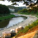 탄동천-1 Daum카페