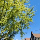 뉴욕세탁 이미지