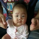 달띠 이미지