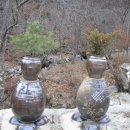 오전2리생달 이미지