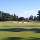 TOP GOLF클럽 이미지