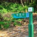 윤채농장 이미지