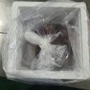 10월20일.홍가리비,과메기,여수 석화굴,특大참멍게,참치오마카세,생연어,특왕전복,민물장어,특大피데기오징,노가리,코다리,특가멸치 이미지