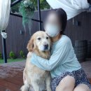 개가사는그집 | 개가 사는 그 집 : 파란 하늘 아래 즐거웠던 물놀이 후기