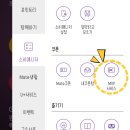 쉬림프 파파 이미지