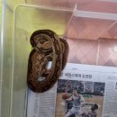 연수주공3단지아파트 이미지