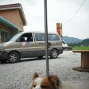 강근영민박 이미지