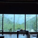 설온 | [속초,양양카페 추천] 온천을 품은 이색 감성 카페, 아기랑 함께하기 좋은 카페 '설온' 내돈내산 솔직 후기