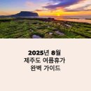 제주 해비치 페스티벌 | 제주도 8월 여행 숙소 맛집 액티비티 가이드