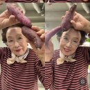강포차 이미지