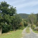 안영농장 이미지