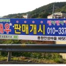 금호수산 이미지