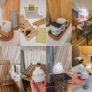 봄정원디자인 | 몰랑이랑 순천 정원워케이션 케빈하우스 후기랑 소개!