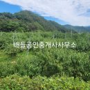 밭 이미지