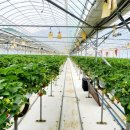 버들골농장 이미지