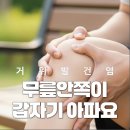 방촌오케이재활의학과의원 | 대구동구재활의학과, 무릎 안쪽 통증 원인? 거위발건염 증상과 치료 총정리