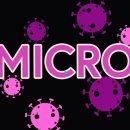 연세신앤송이비인후과의원 이미지