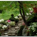 의성꽃화원 이미지