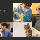 송정동물의료센터 이미지