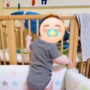 망고야애플아
