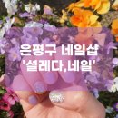 설레다 네일