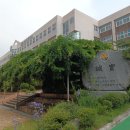 신현여자중학교 | 의사소통 갈등관리 신현여자중학교 남호에듀 대표 장정륜 진행후기