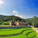 홍두깨책방 북스테이 이미지