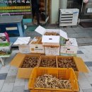 가족건강원 - 원주시 치악로 1580 | 가족건강원