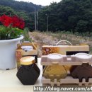 천태산농원 이미지