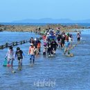 무창포어촌체험휴양마을 이미지