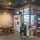 프로팀스타 복싱 이미지