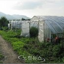 두물머리공원 이미지