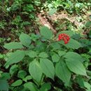 열두개울민박 이미지