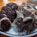 맛동네 이데일리