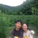 솔로몬농장 이미지