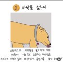 뽀그리가 주기적인 산책을 통해 이미지
