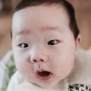 모던플라워
