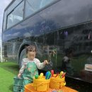 멍노리터 이미지