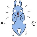 당산 신나무의 노래 네이버블로그