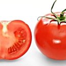 토마토휘트니스클럽 네이버블로그