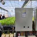 맘꽃가든 이미지